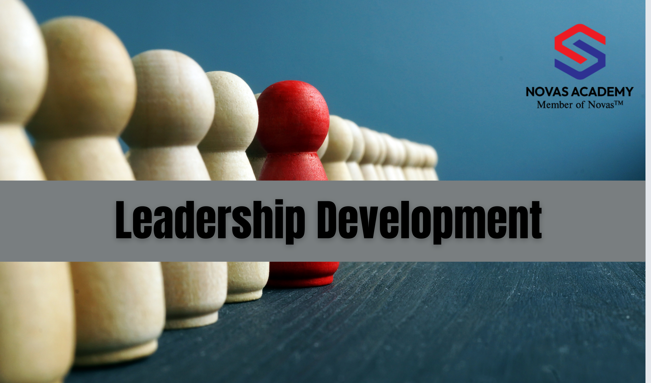 Leadership Development