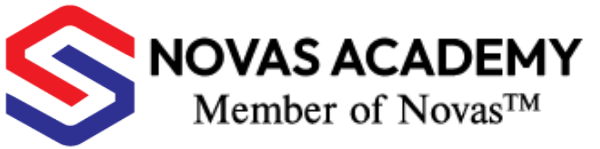 Form Logo Image